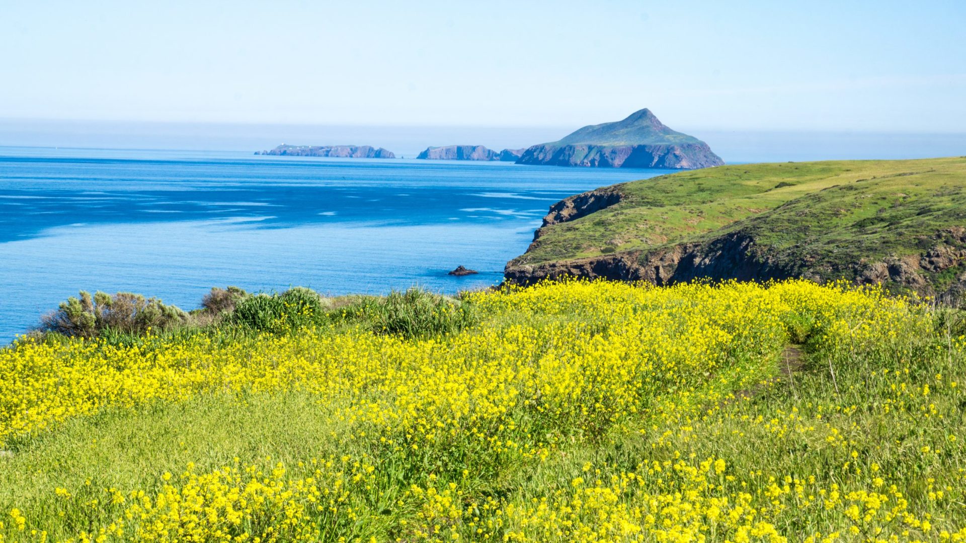 Take a ferry to Channel Islands National Park