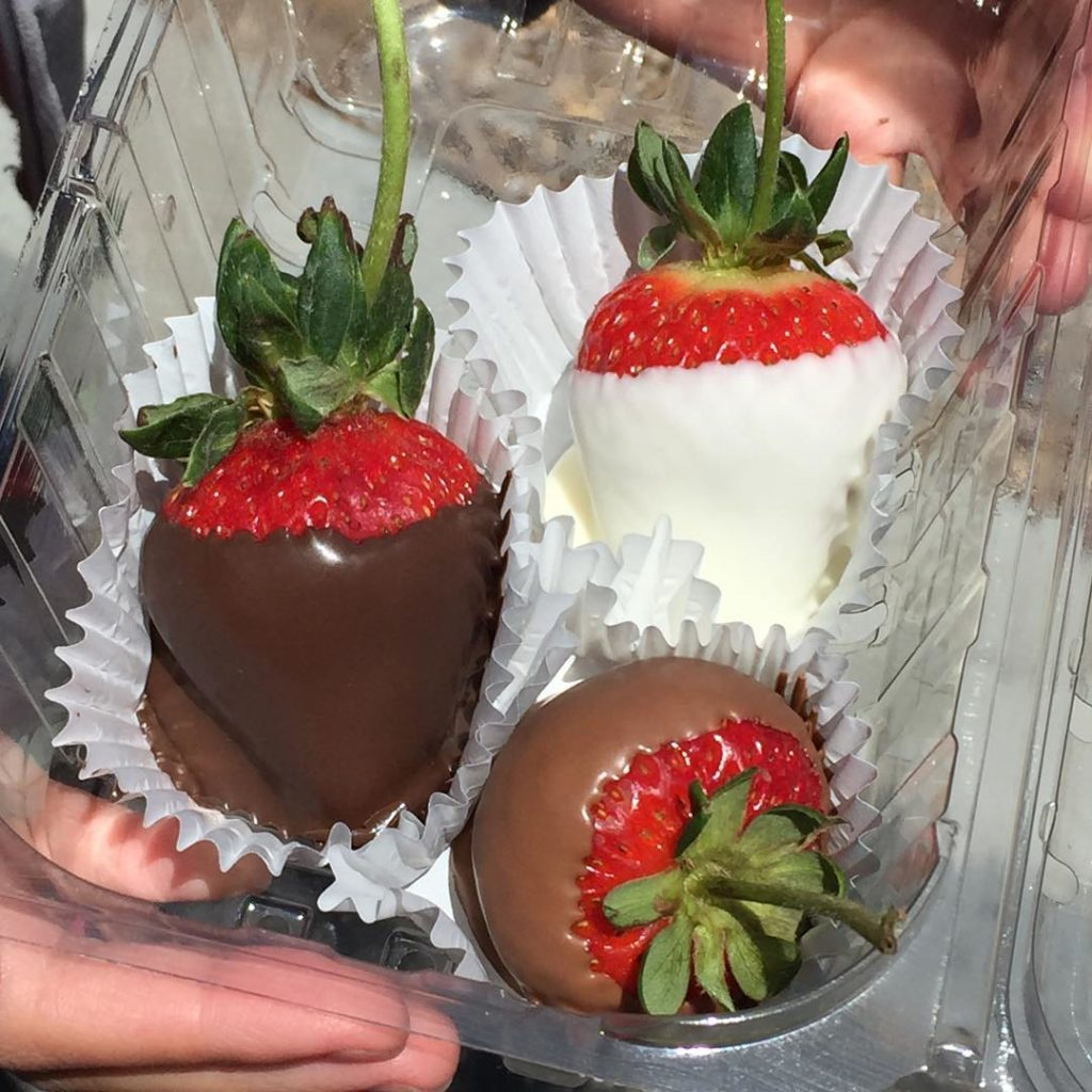 Chocolate Dipped Strawberries