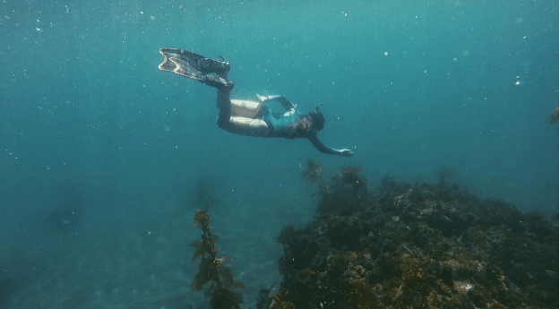 Go on a snorkeling tour at Scorpion Anchorage