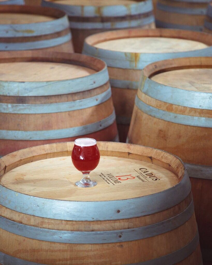 Casa Agria Specialty Ales