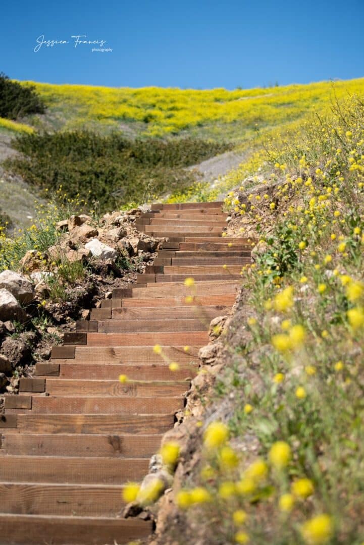 Ventura Botanic Gardens Hike in Ventura, CA