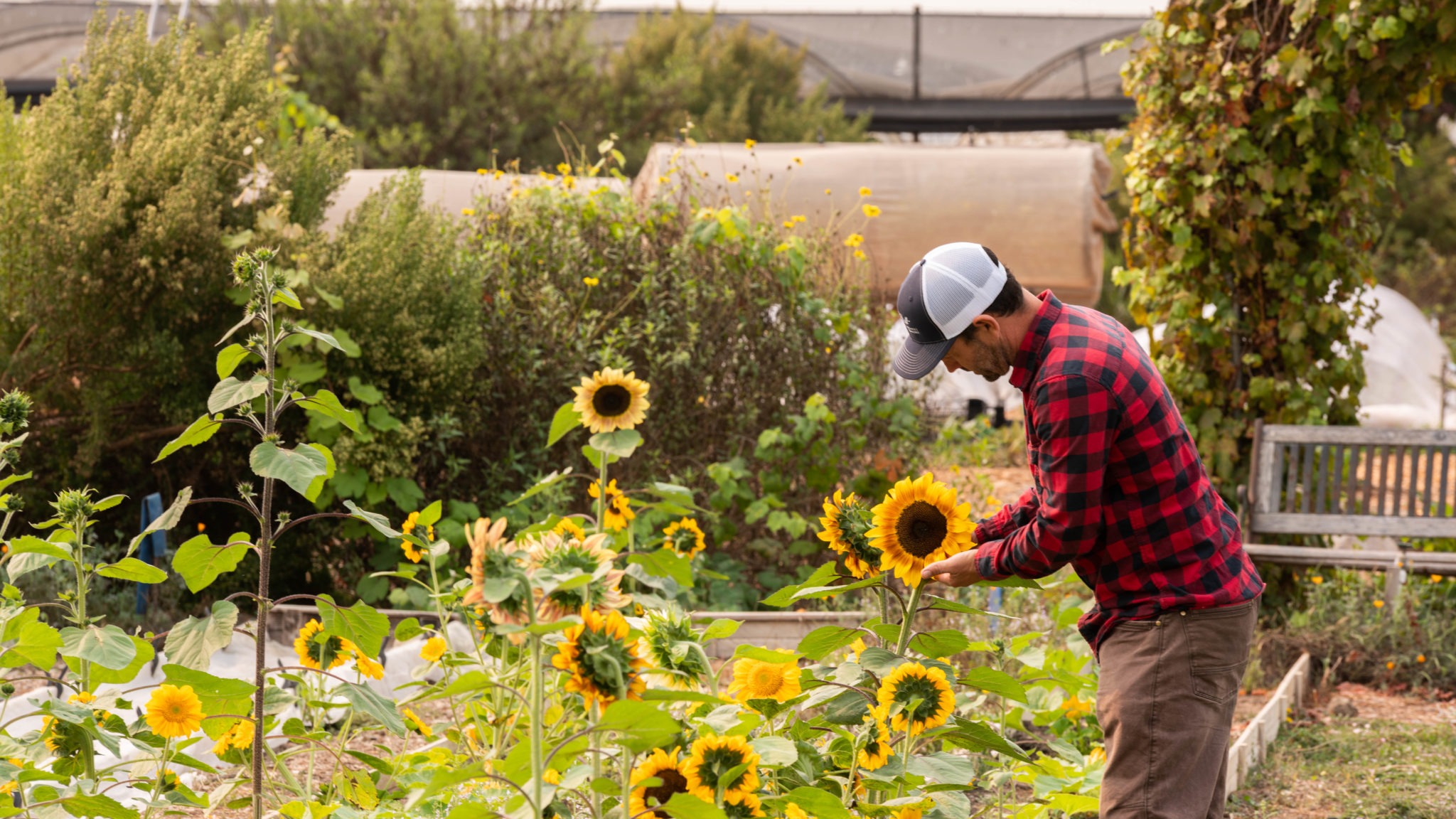Summer Road Trip Ventura County Coast