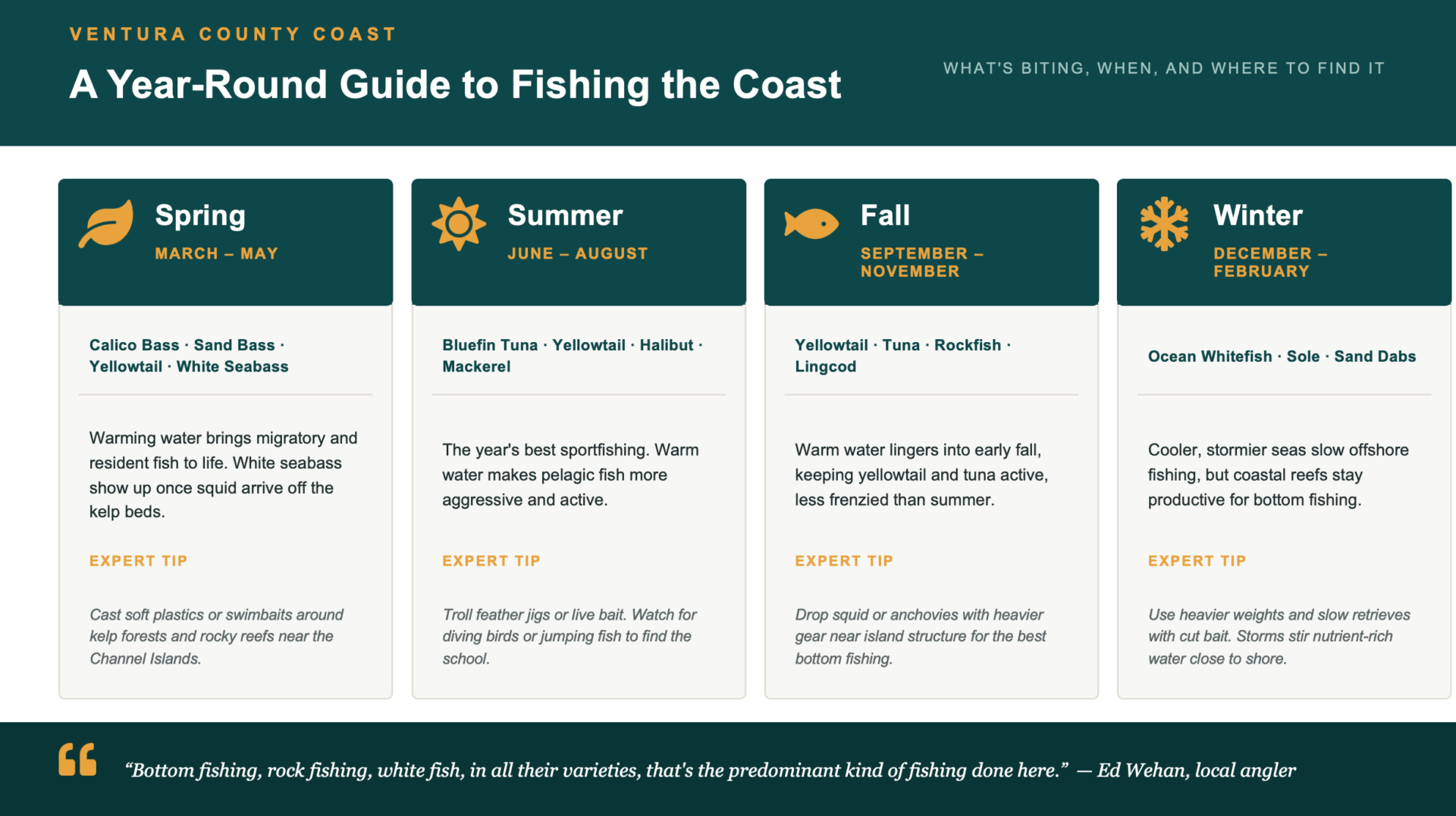 Infographic showing Ventura County Coast's year-round fishing seasons, target species, and expert tips for spring, summer, fall, and winter"