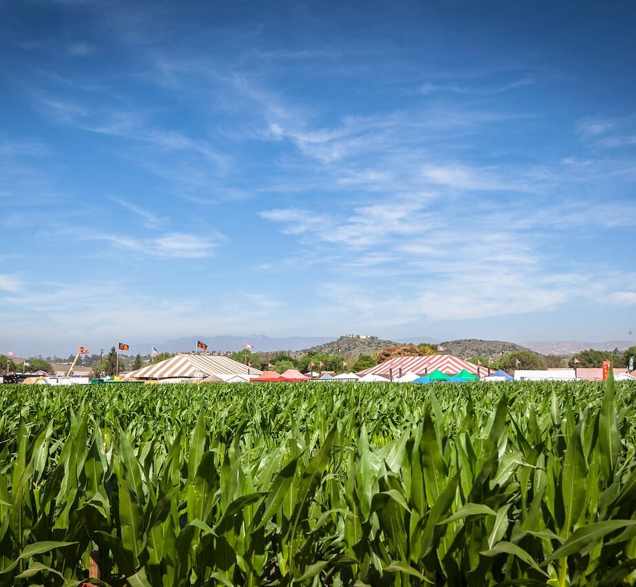 Underwood Family Farms