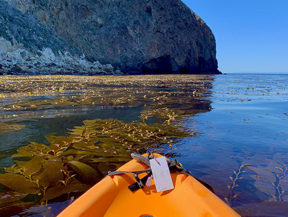 Kayak along the coastline of Channel Islands National Park in California. 