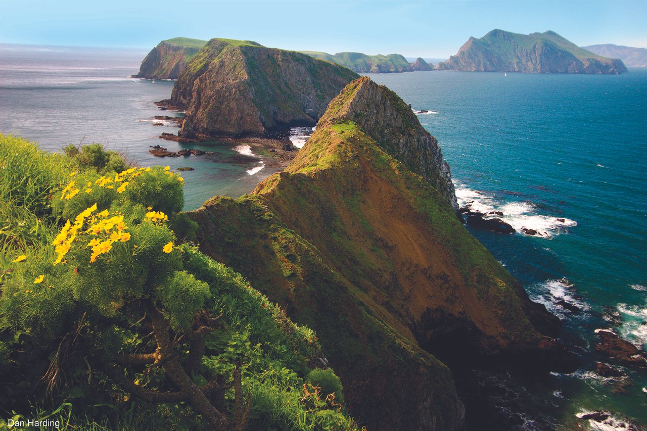 Things to do at Channel Islands National Park