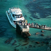 Island Packers ferry and tours to Channel Islands National Park