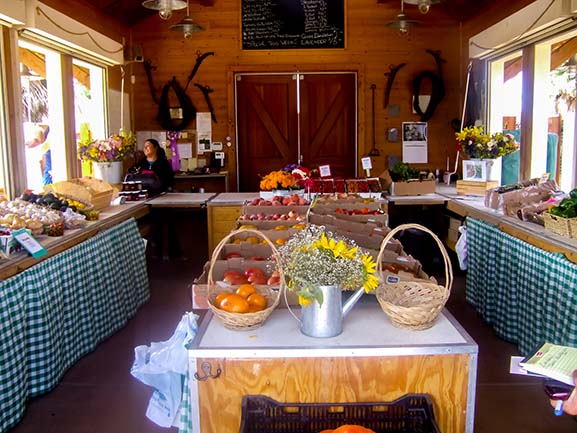 Visit a roadside fruit stand when visiting for Ventura County Farm Day.