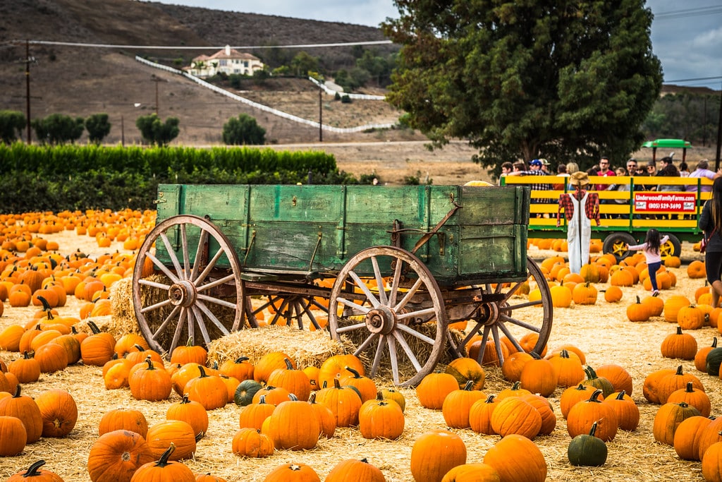 Underwood Family Farms Annual Fall Harvest Festival