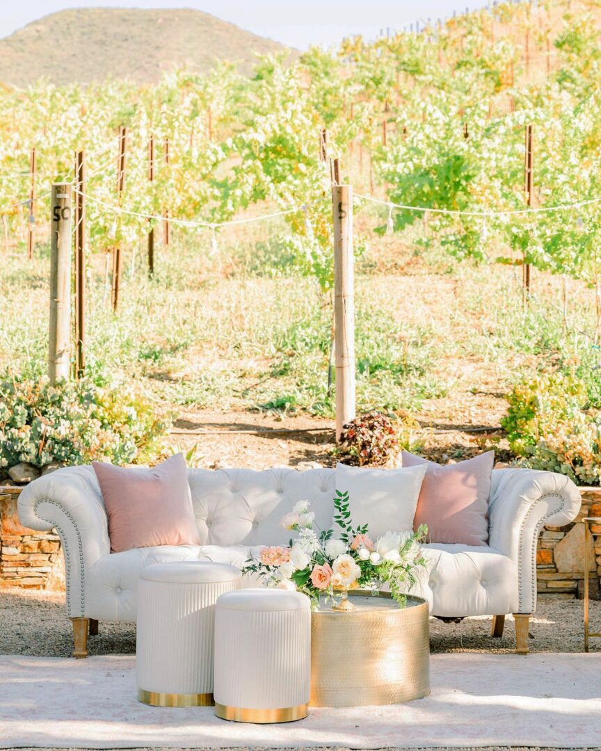 wine-vineyard-wedding