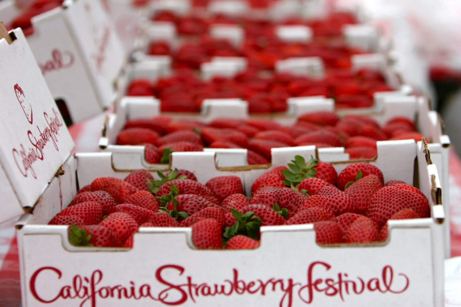 California Strawberry Festival