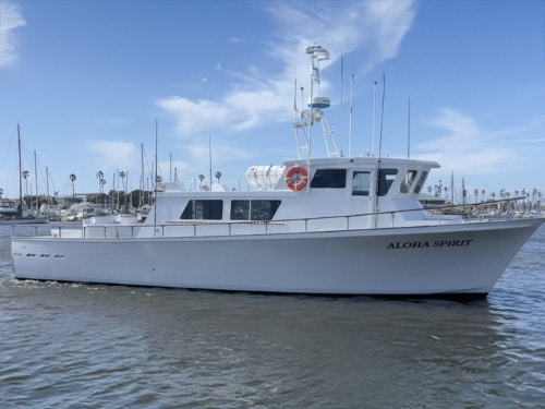 Sportfishing landings in Ventura County