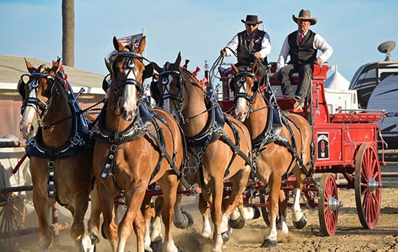 Ventura County Fair