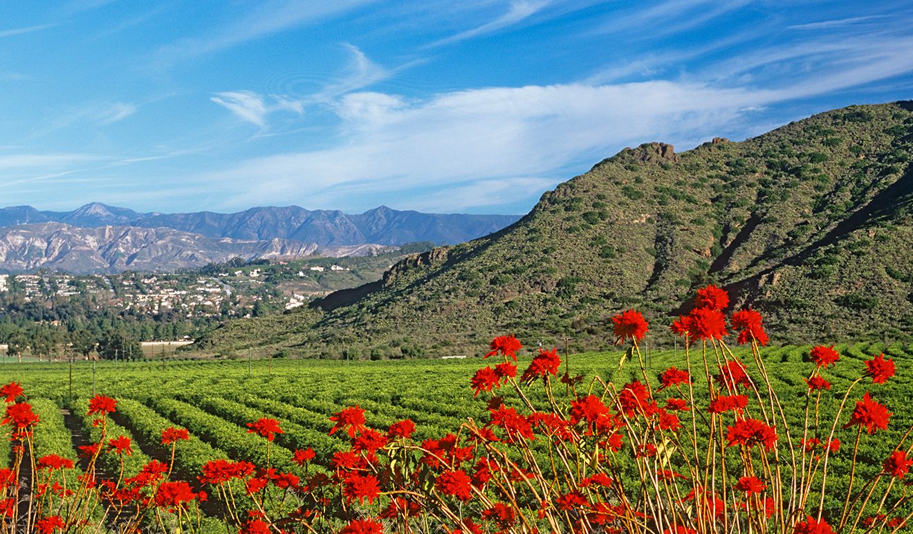 Ventura County Coast