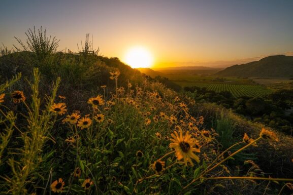 Sunset in Camarillo California