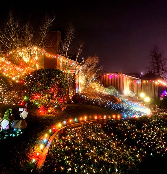 Gemini & Waverly Holiday Lights