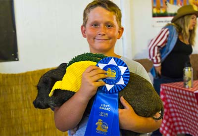 Contests and entries